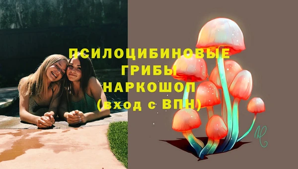 spice Болотное
