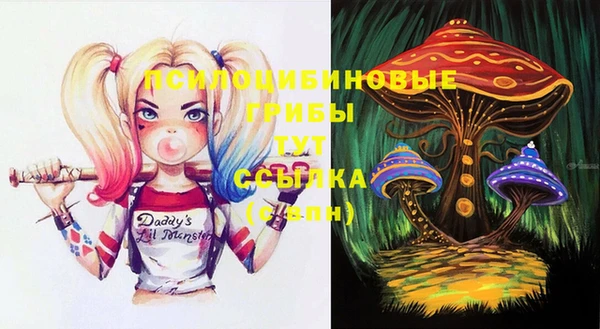 a pvp Абинск