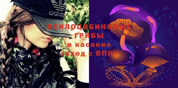 сатива Алексин