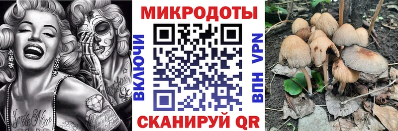 купить наркотики цена  Болотное  Псилоцибиновые грибы Psilocybe 