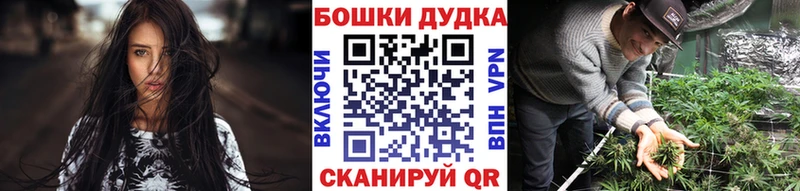 МАРИХУАНА конопля  Болотное 